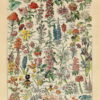Puzzle Millot Fleurs - Piatnik - 1000 pièces