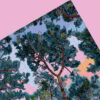 Puzzle Sound of silence - Piece & Love - 1000 pièces