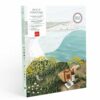 Peinture au numéro Picnic à Étretat - La Petite Epicerie
