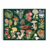 Puzzle World of Mushrooms - Galison - 1000 pièces