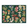 Puzzle World of Mushrooms - Galison - 1000 pièces