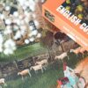 Puzzle English Cottage - Piecely - 1000 pièces