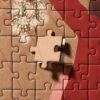 Puzzle Let’s Get Together - Ordinary Habit - 500 pièces