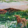 Puzzle Through the Wild - Weve - 1000 pièces