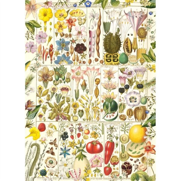 Puzzle BOTANICAL BLISS - Gibsons - 1000 pièces – Image 2