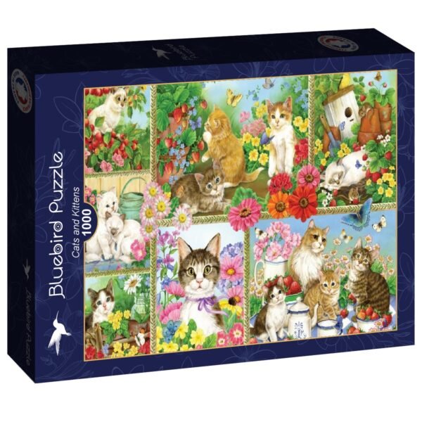 Puzzle Chats et Chatons - Bluebird - 1000 pièces