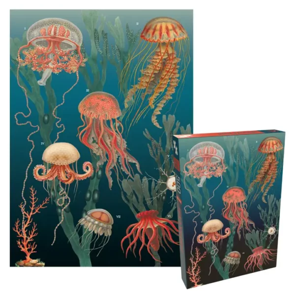 Puzzle Jellyfish - Penny Puzzle - 500 pièces