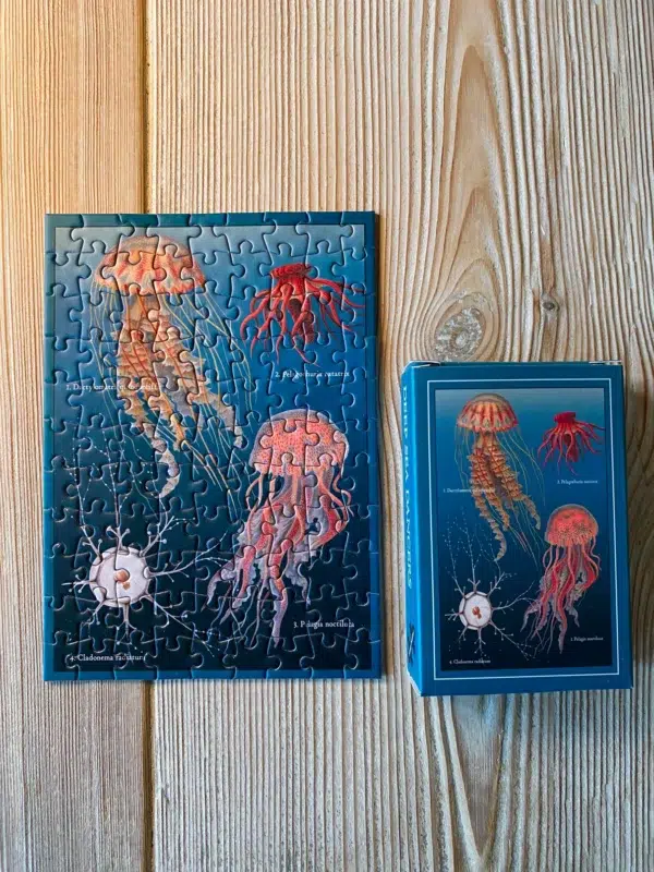 Puzzle DEEP SEA DANCERS - Penny Puzzle - 99 pièces