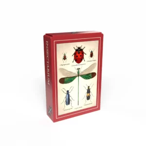 Puzzle INSECTARIUM - Penny Puzzle - 99 pièces