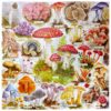 Puzzle BOUNTIFUL MUSHROOMS - eeBoo - 1000 pièces
