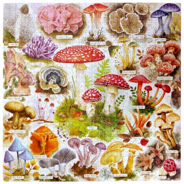 Puzzle BOUNTIFUL MUSHROOMS - eeBoo - 1000 pièces