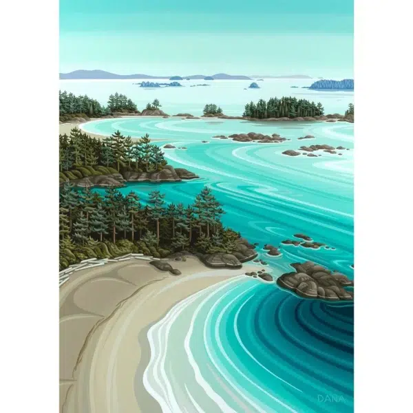 Puzzle Soaring Over Tofino - Villager - 1000 pièces