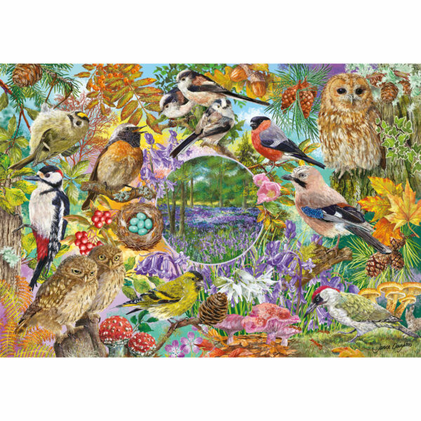 Puzzle WINGS IN THE WILD - Gibsons - 4x500 pièces
