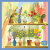 Puzzle PLANTS & ME - Vissevasse - 500 pièces