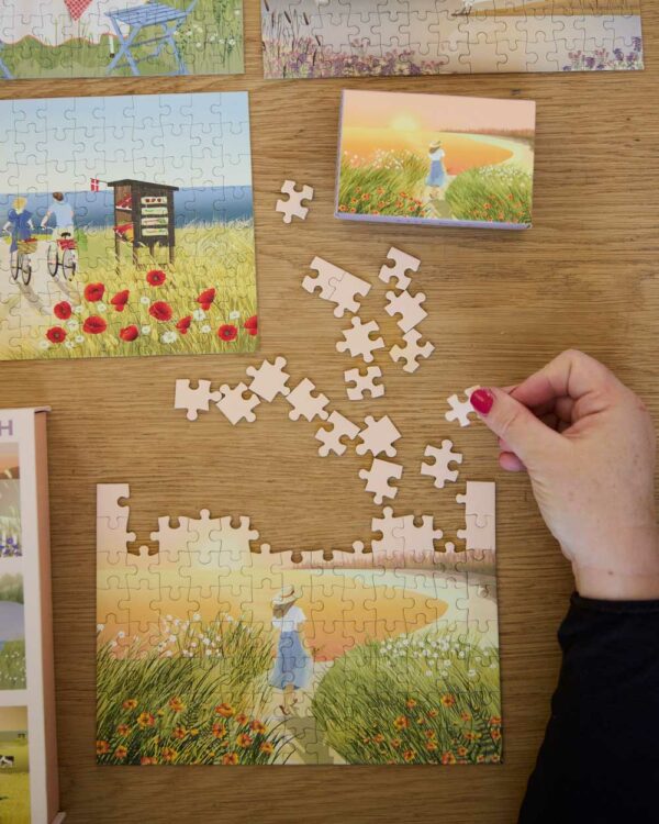 Puzzle SUMMER MOMENTS - Vissevasse - 9x104 pièces
