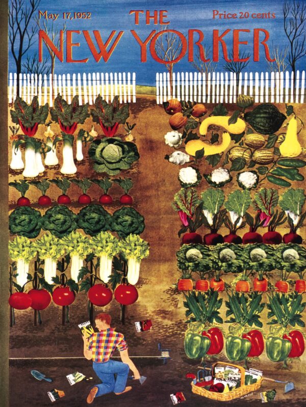 Puzzle Vegetable Garden - New York Puzzle Company - 1000 pièces