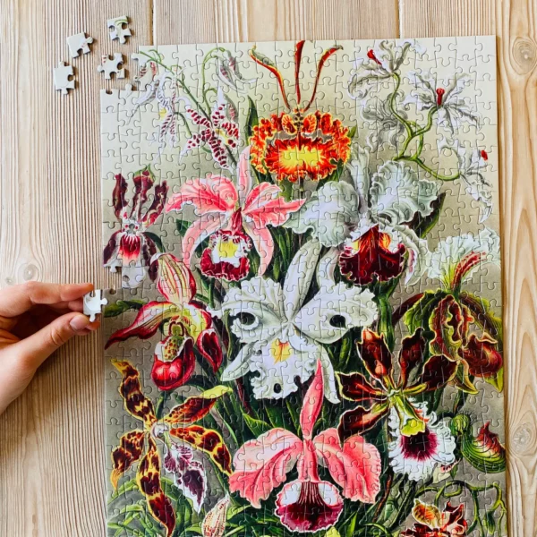 Orchids2 Puzzle Orchids - Penny Puzzle - 500 pièces