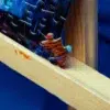 still-life-mini-puzzle-minizz-8803695.jpg