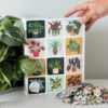 Puzzle Houseplants - 1canoe2 - 1000 pièces