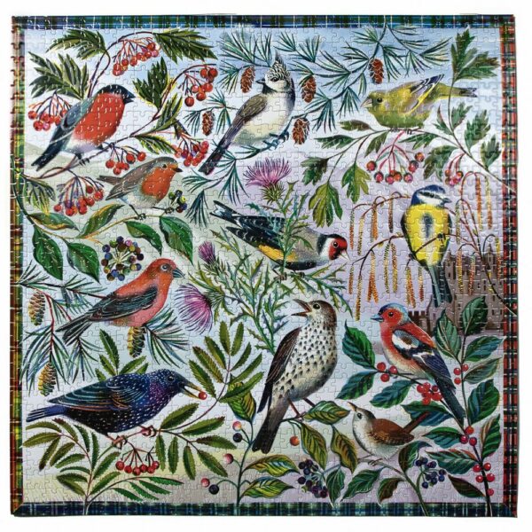 Puzzle Birds of Scotland - eeBoo - 1000 pièces