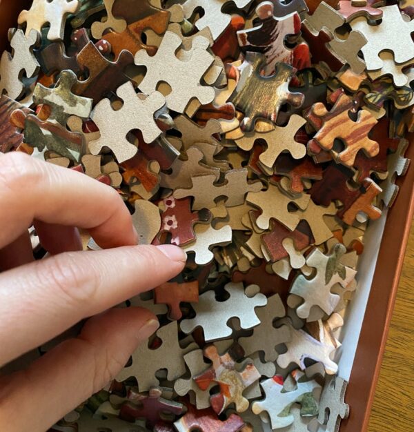 Puzzle Cottage Dream - Esther Bennink - 500 pièces Puzzle Cottage Dream - Esther Bennink - 500 pièces