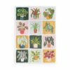 Puzzle Houseplants - 1canoe2 - 1000 pièces