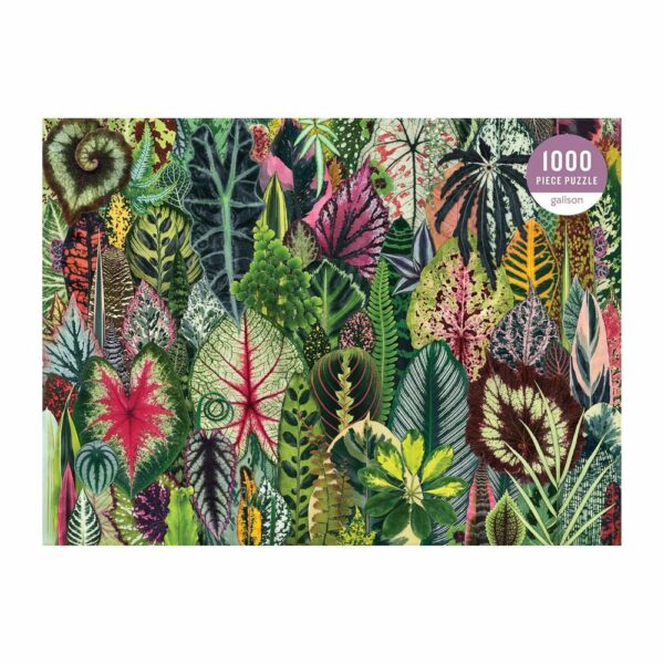 Puzzle Houseplant Jungle - Galison - 1000 pièces