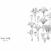 Cahier de coloriage Fleurs par Zoé de las Cases - Hachette Cahier de coloriage Fleurs par Zoé de las Cases - Hachette