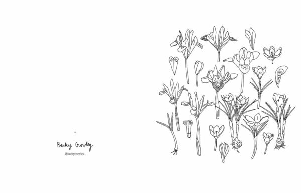 Cahier de coloriage Fleurs par Zoé de las Cases - Hachette Cahier de coloriage Fleurs par Zoé de las Cases - Hachette