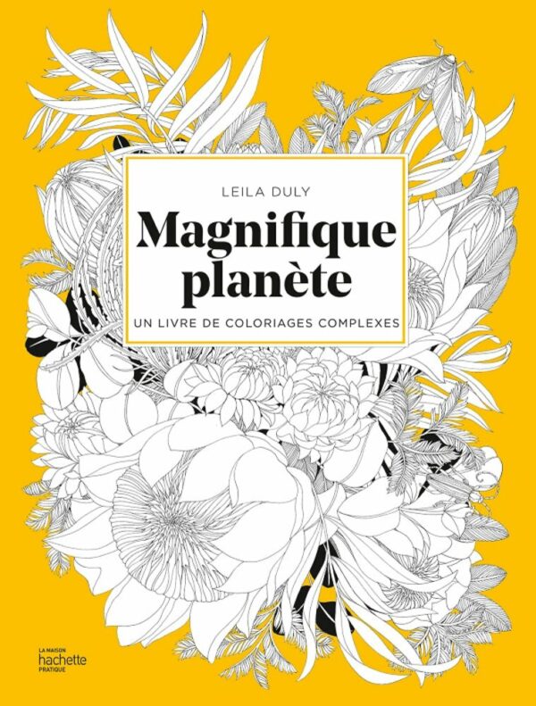 Cahier de coloriage Magnifique planète - Hachette Cahier de coloriage Magnifique planète - Hachette