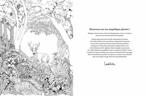 Cahier de coloriage Magnifique planète - Hachette Cahier de coloriage Magnifique planète - Hachette