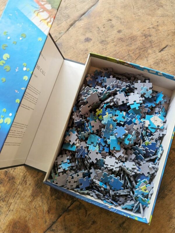 Puzzle Réponds à l'appel - Incantation & Co - 1000 pièces