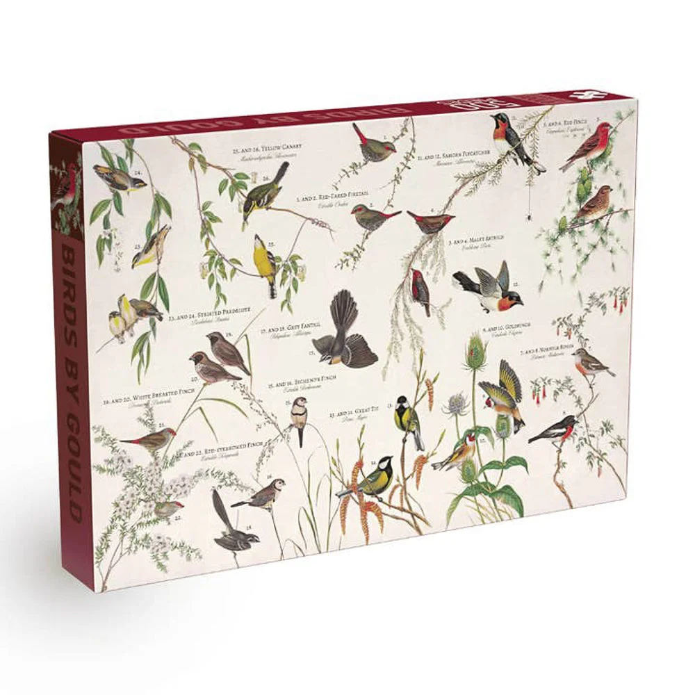 Puzzle Birds By Gould - Penny Puzzle - 500 pièces