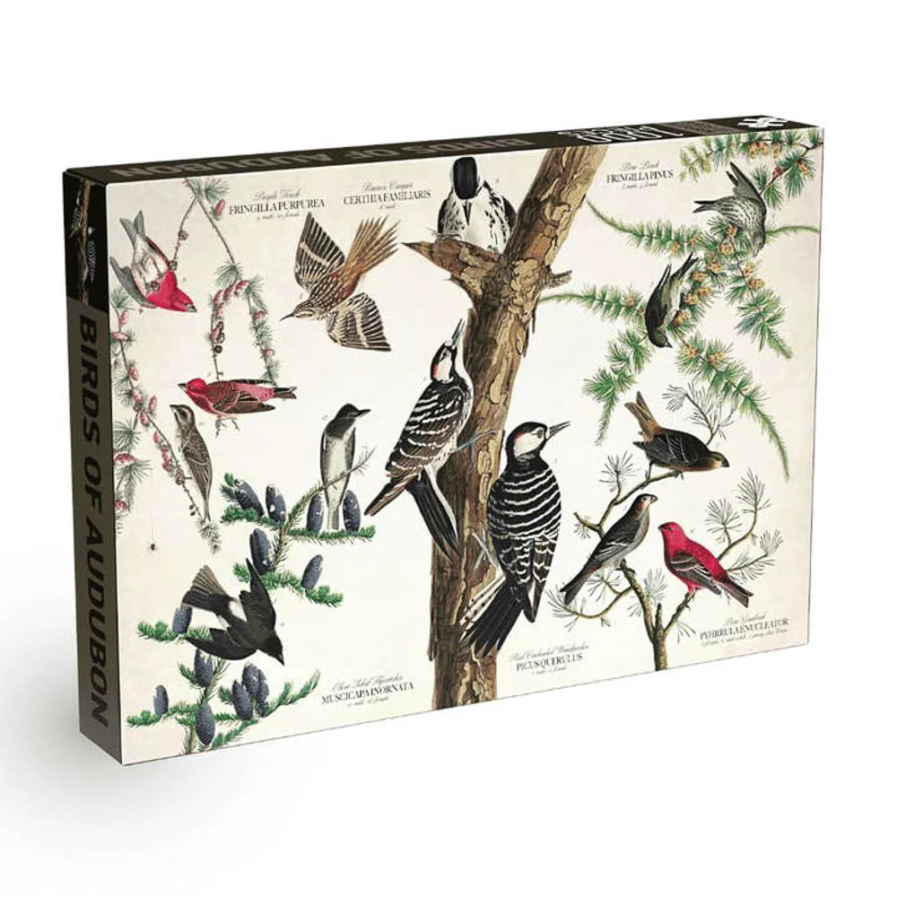 Puzzle Birds of Audubon - Penny Puzzle - 1000 pièces