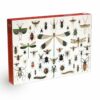 Puzzle Bugs and Beetles - Penny Puzzle - 1000 pièces