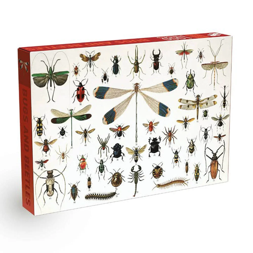 Puzzle Bugs and Beetles - Penny Puzzle - 1000 pièces