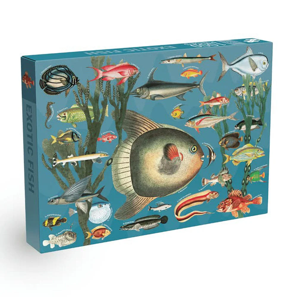 Puzzle Exotic Fish - Penny Puzzle - 1000 pièces