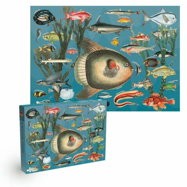 Puzzle Exotic Fish - Penny Puzzle - 1000 pièces