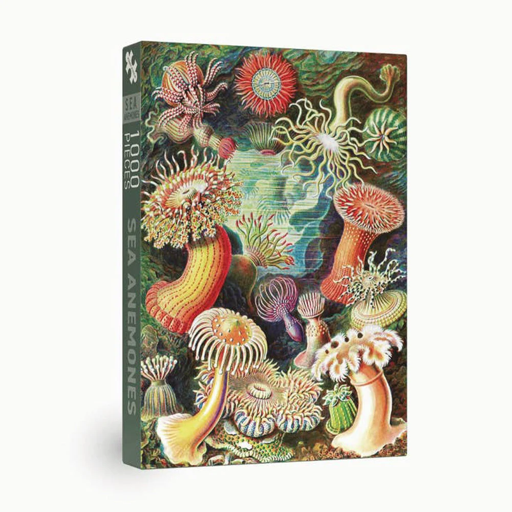 Puzzle Sea Anemones - Penny Puzzle - 1000 pièces