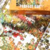 Puzzle Perfect Day - Piecely - 500 pièces