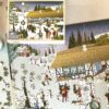Puzzle Christmas Tree Farm - Vissevasse - 1000 pièces