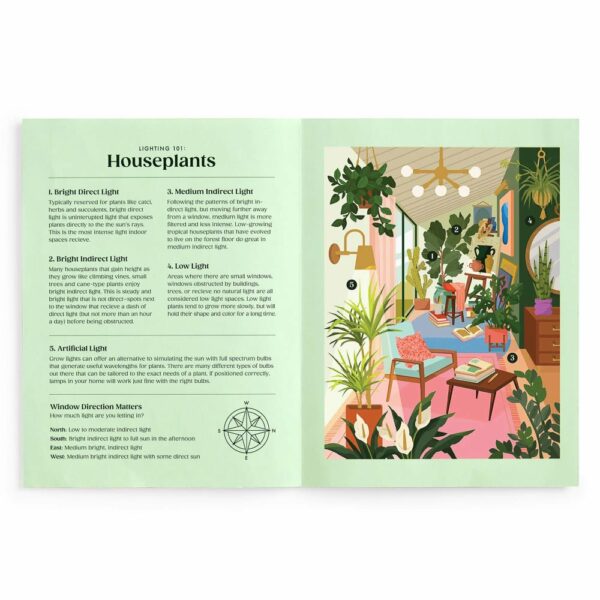 Puzzle Lighting 101 : Houseplants - Galison - 500 pièces