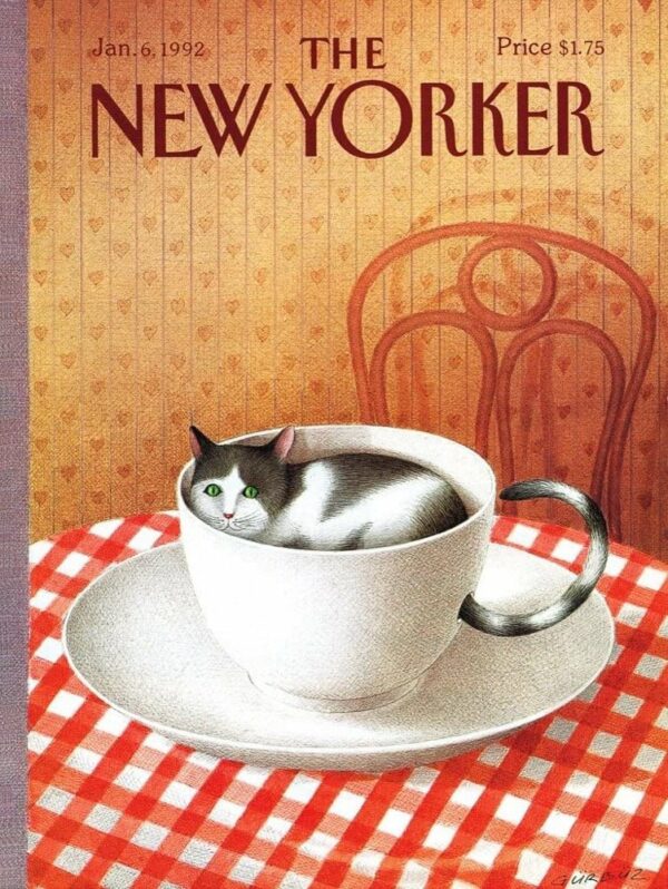 Puzzle Cattuccino - New York Puzzle Company - 1000 pièces