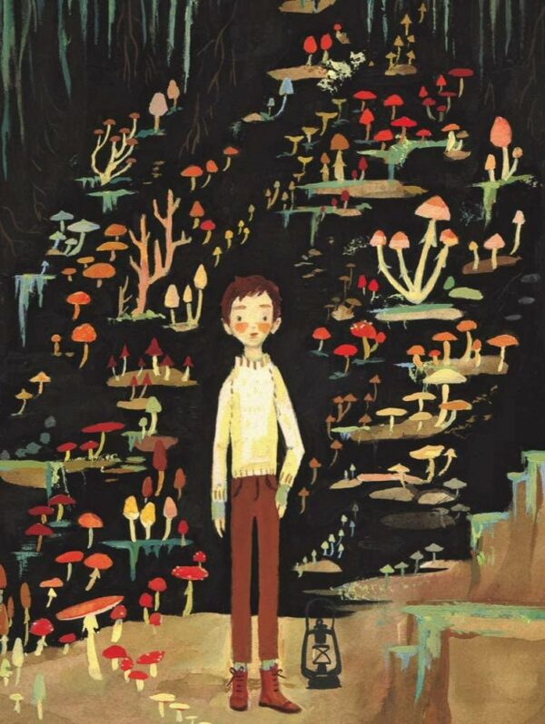 Puzzle Mushroom Boy - New York Puzzle Company - 500 pièces