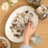 Puzzle Herbarium - Ordinary Habit - 100 pièces